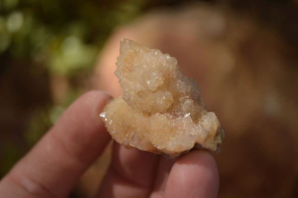 Natural Mixed Spirit Quartz Crystals x 70 From Boekenhouthoek, South Africa