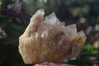 Natural Cascading Smokey Quartz Clusters x 3 From Luena, Congo