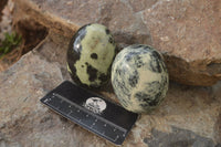 Polished Leopard Stone Palm Stones  x 6 From Zimbabwe