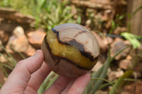 Polished Septaria Dragon's Eggs (Calcite & Aragonite) x 3 From Mahajanga, Madagascar - TopRock