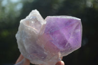 Natural Jacaranda Amethyst Clusters  x 3 From Mumbwa, Zambia - Toprock Gemstones and Minerals 