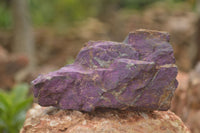 Natural Selected Rough Purpurite Specimens  x 6 From Namibia - TopRock