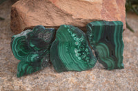 Polished Flower Banded Malachite Slices  x 24 From Congo - Toprock Gemstones and Minerals 