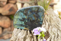 Polished Labradorite Standing Free Form With A Full Face Flash x 1 From Tulear, Madagascar - TopRock