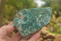 Natural Mixed Chrysocolla Dolomite Specimens (Some With Malachite) x 7 From Congo - TopRock