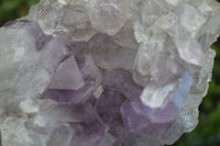 Natural Jacaranda Amethyst Clusters  x 2 From Zambia - Toprock Gemstones and Minerals 