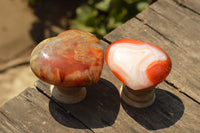 Natural Beautiful Selection Of Large Carnelian Agate Hearts  x 6 From Madagascar - TopRock