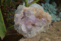 Natural Jacaranda Amethyst Clusters  x 2 From Mumbwa, Zambia - TopRock