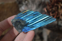 Polished One Side Polished Labradorite Pieces x 24 From Tulear, Madagascar