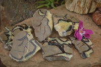 Polished Septaria (Calcite & Aragonite) Slices  x 6 From Mahajanga, Madagascar - TopRock