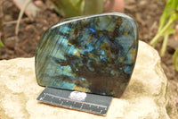 Polished Labradorite Standing Free Form With A Full Face Flash x 1 From Tulear, Madagascar - TopRock