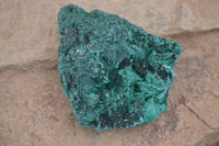 Natural Chatoyant Silky Malachite Specimens  x 12 From Kasompe, Congo - TopRock