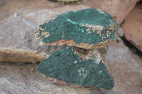 Natural Crystalline Malachite Specimens  x 6 From Congo