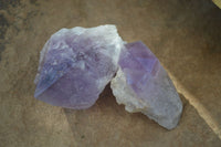 Natural Single Jacaranda Amethyst Crystals x 12 From Mumbwe, Zambia