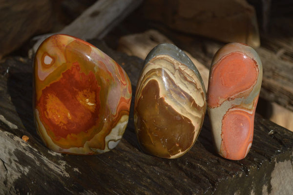 Polished Polychrome / Picasso Jasper Standing Free Forms  x 3 From Madagascar