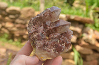 Natural Red Hematite Quartz Clusters  x 4 From Karoi, Zimbabwe - TopRock