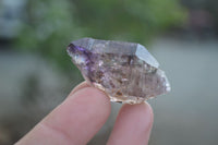 Natural Window Amethyst Sceptre Crystals  x 35 From Chiredzi, Zimbabwe