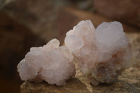 Natural Spirit Cactus Flower Quartz Clusters x 6 From Boekenhouthoek, South Africa