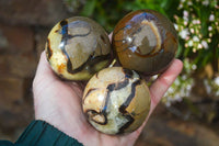 Polished Gorgeous Septerye Spheres x 4 From Madagascar