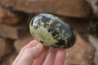 Polished Leopard Stone Palm Stones  x 6 From Zimbabwe