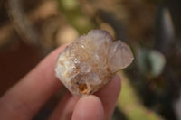 Natural Mixed Spirit Quartz Crystals x 70 From Boekenhouthoek, South Africa