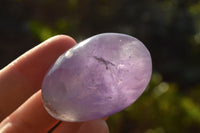 Polished Rare Gemmy Amethyst Palm Stones x 24 From Madagascar - TopRock