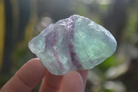 Natural Rough Watermelon Fluorite Cobbed Specimens  x 35 From Namibia