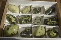 Polished Leopard Stone Free Forms  x 12 From Zimbabwe