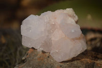 Natural Spirit Cactus Flower Quartz Clusters x 6 From Boekenhouthoek, South Africa