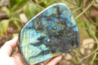 Polished Labradorite Standing Free Form With A Full Face Flash x 1 From Tulear, Madagascar - TopRock