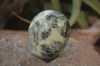 Polished Leopard Stone Palm Stones  x 6 From Zimbabwe