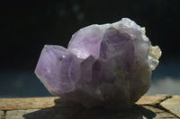 Natural Jacaranda Amethyst Crystal Clusters  x 2 From Mumbwa, Zambia - Toprock Gemstones and Minerals 