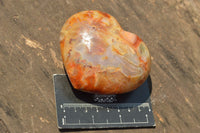 Natural Beautiful Selection Of Large Carnelian Agate Hearts  x 6 From Madagascar - TopRock