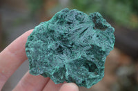 Natural Chatoyant Silky Malachite Specimens  x 12 From Kasompe, Congo - TopRock