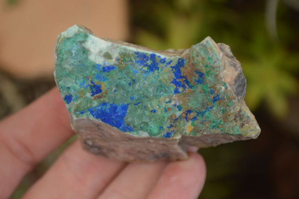 Natural Azurite & Malachite On Dolomite Specimens  x 12 From Kaokoveld, Namibia - Toprock Gemstones and Minerals 