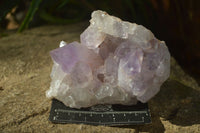 Natural Jacaranda Amethyst Clusters  x 2 From Zambia - Toprock Gemstones and Minerals 