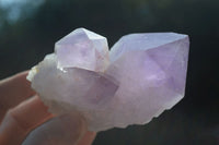 Natural Jacaranda Amethyst Clusters  x 6 From Mumbwa, Zambia - Toprock Gemstones and Minerals 