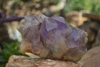 Natural Jacaranda Amethyst Clusters  x 2 From Mumbwa, Zambia - TopRock