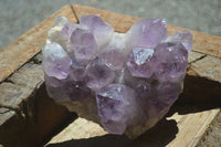 Natural Jacaranda Amethyst Clusters x 2 From Mumbwa, Zambia - TopRock