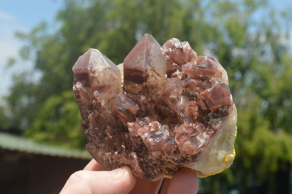 Natural Red Hematite Quartz Clusters  x 4 From Karoi, Zimbabwe - TopRock