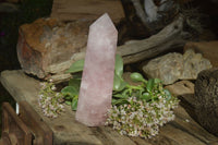 Polished Large Rose Quartz Tower x 1 From Madagascar