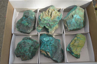 Natural Rough Shattuckite With Malachite & Cuprite Specimens  x 6 From Kaokoveld, Namibia - Toprock Gemstones and Minerals 