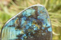 Polished Labradorite Standing Free Form With A Full Face Flash x 1 From Tulear, Madagascar - TopRock