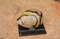 Polished Septaria Dragon's Eggs (Calcite & Aragonite) x 3 From Mahajanga, Madagascar - TopRock