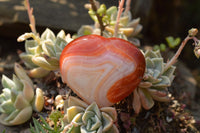 Natural Beautiful Selection Of Large Carnelian Agate Hearts  x 6 From Madagascar - TopRock