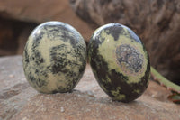 Polished Leopard Stone Palm Stones  x 6 From Zimbabwe