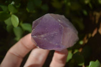 Natural Single Jacaranda Amethyst Crystals x 12 From Mumbwe, Zambia