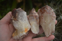 Natural Red Hematoid Quartz Specimens x 12 From Karoi, Zimbabwe - TopRock