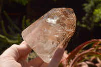 Polished Clear & Smokey Window Quartz Crystals  x 3 From Madagascar - TopRock