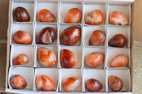 Polished Beautiful Selection Of Carnelian Agate Eggs  x 20 From Madagascar - TopRock